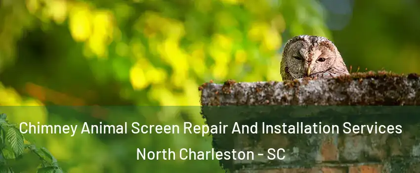  Chimney Animal Screen Repair And Installation Services North Charleston - SC