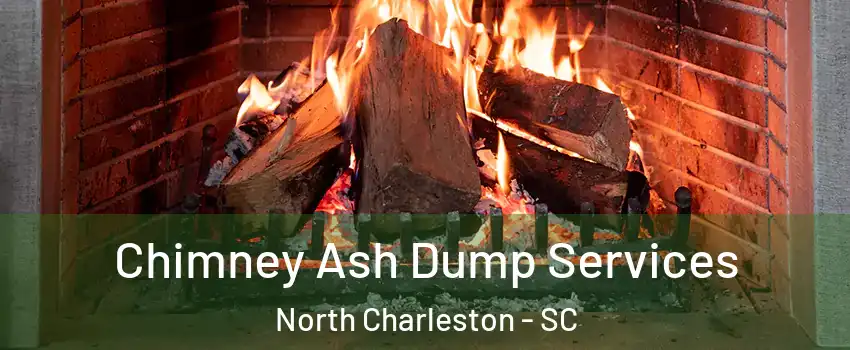  Chimney Ash Dump Services North Charleston - SC