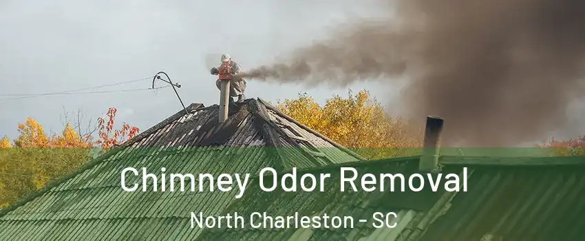  Chimney Odor Removal North Charleston - SC