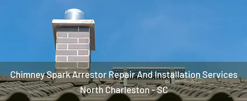  Chimney Spark Arrestor Repair And Installation Services North Charleston - SC