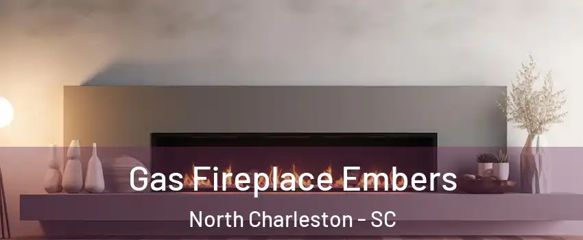  Gas Fireplace Embers North Charleston - SC