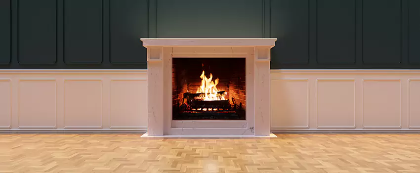Napoleon Electric Fireplaces Inspection Service in North Charleston, South Carolina