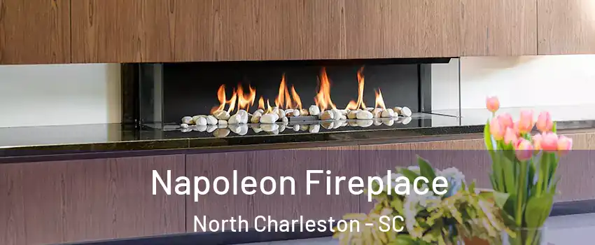  Napoleon Fireplace North Charleston - SC